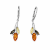 Echtheitszertifikat für baltischen Bernstein