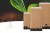 Bernsteinschmuck Zertifikat und Qualität