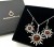 Elegantes Silberset mit Naturbernstein Sonne
